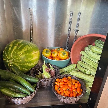 Eco Glamping With Pool Between Nafplio And Argos Exteriör bild