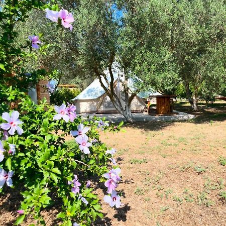 Eco Glamping With Pool Between Nafplio And Argos Exteriör bild