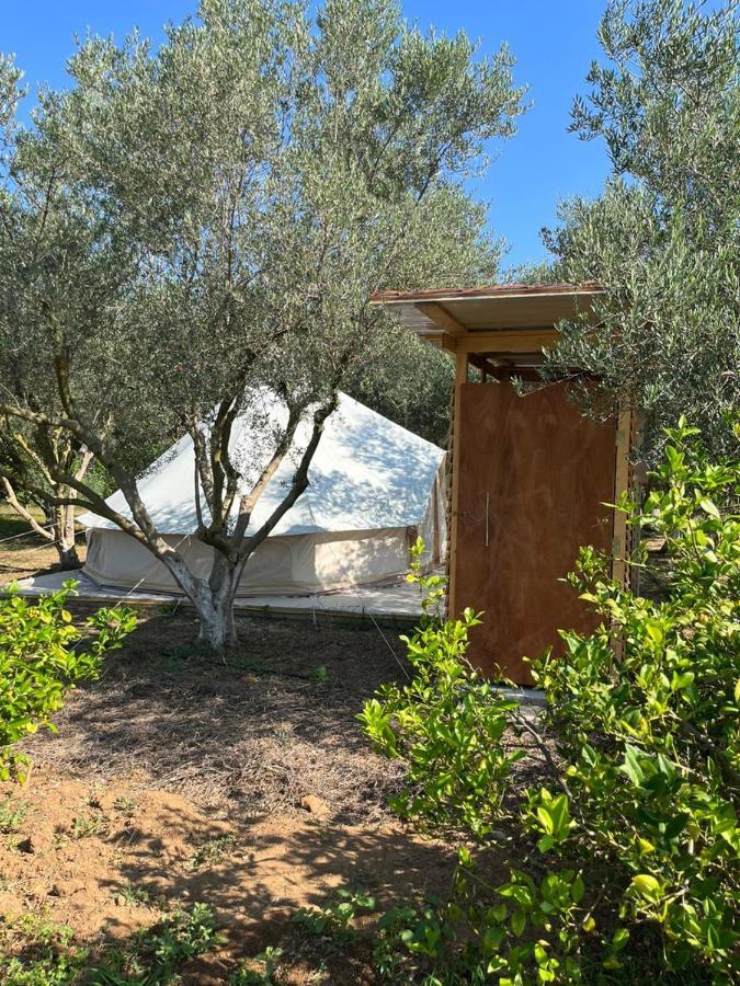 Eco Glamping With Pool Between Nafplio And Argos Exteriör bild