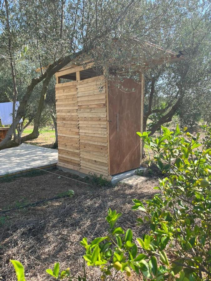 Eco Glamping With Pool Between Nafplio And Argos Exteriör bild