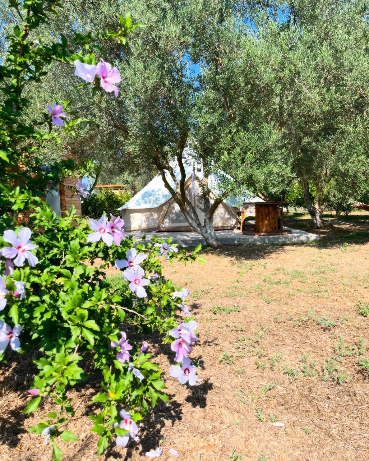 Eco Glamping With Pool Between Nafplio And Argos Exteriör bild