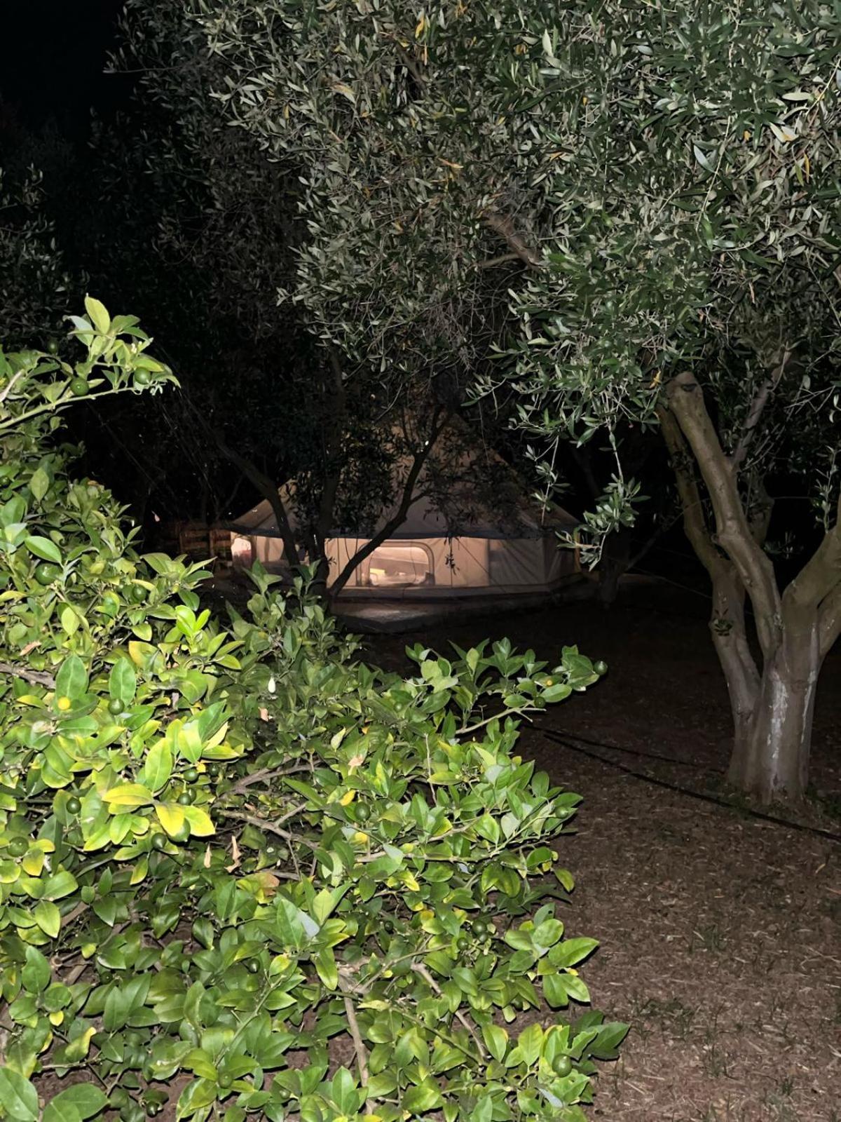 Eco Glamping With Pool Between Nafplio And Argos Exteriör bild